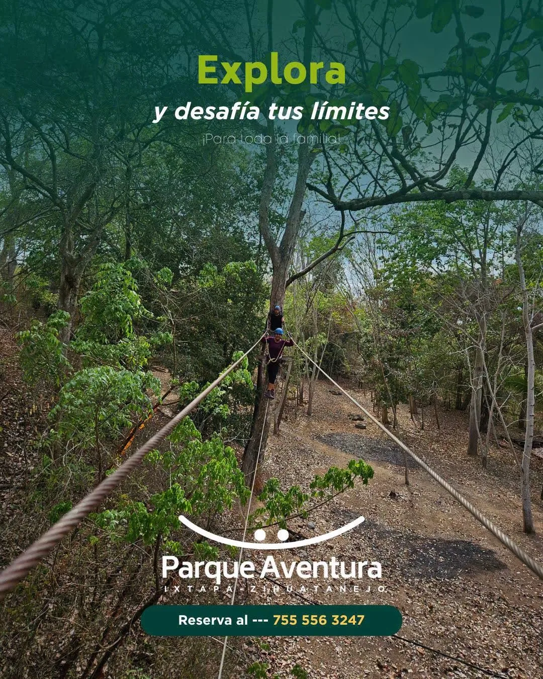 Puente colgante en el circuito de aventura